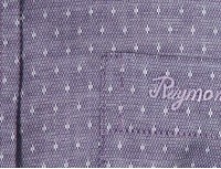 Raymond Fine Cotton Long Sleeve Shirt-4940